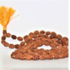 3 Mukhi Rudraksha Mala - Indonesian