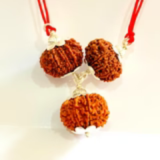 Evil Protection Rudraksha Kawach - Image 3