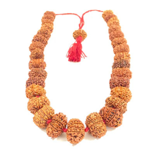 10 Mukhi Rudraksha Kantha (Nepal Origin)