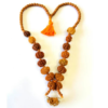 1 - 14 Mukhi Rudraksha Mala ( In Thread)