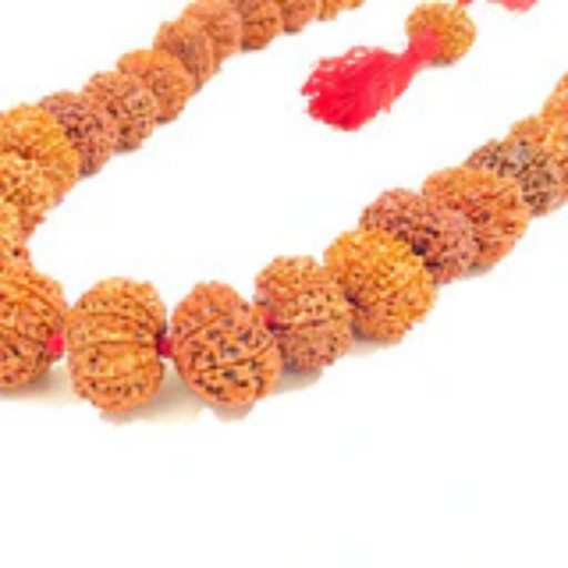 10 Mukhi Rudraksha Kantha (Nepal Origin) - Image 2