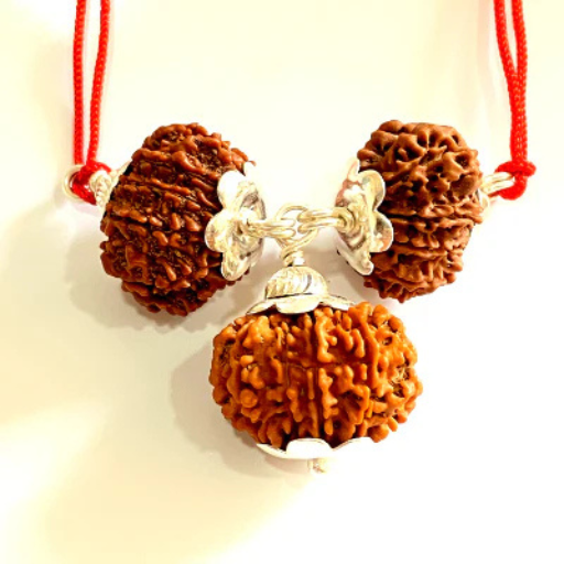 Evil Protection Rudraksha Kawach