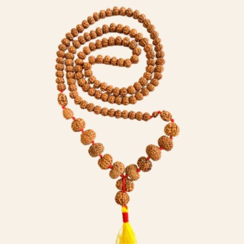 Indonesian 1 - 14 Mukhi Rudraksha Mala - Image 4