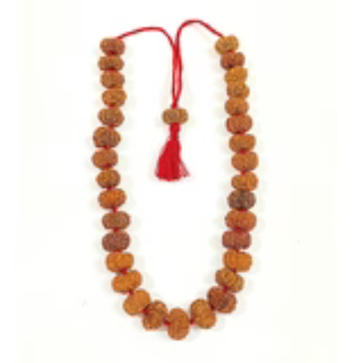 10 Mukhi Rudraksha Kantha (Nepal Origin) - Image 3