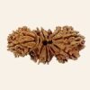 Trijuti Rudraksha