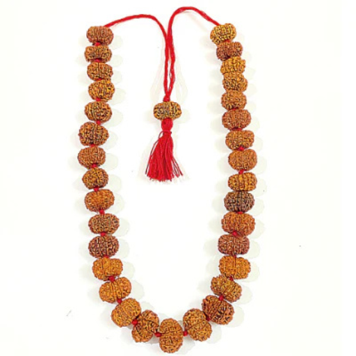 11 Mukhi Rudraksha Kantha (Nepal Origin)