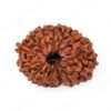 Natural 18 Mukhi Rudraksha (Nepal Origin)