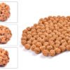 4 Mukhi Indonesian Rudraksha – The Divine Key to Wisdom, Memory & Creative Genius