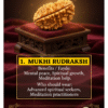 Sawar Rudraksha: Divine Blessings: Authentic Ek Mukhi Kaju Dana Rudraksha – The Ultimate Bead of Enlightenment