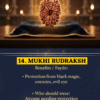 14 Mukhi Nepali Rudraksha – The Divine Deva Mani of Lord Hanuman