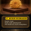 Sacred 17 Mukhi Nepali Rudraksha – The Bead of Extraordinary Abundance & Katyayani Shakti