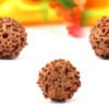 8 Mukhi Indonesian Rudraksha – The Divine Path to Success and Freedom from Obstacles