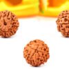 9 Mukhi Indonesian Rudraksha – The Divine Shield of Maa Durga