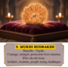 9 Mukhi Nepali Rudraksha – The Divine Shield of Maa Durga (Original & Energized)