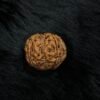 Wisdom’s Radiance: Authentic 4 Mukhi Rudraksha – The Sacred Bead of Lord Brahma for Intelligence & Creativity