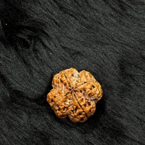 Wisdom’s Radiance: Authentic 4 Mukhi Rudraksha – The Sacred Bead of Lord Brahma for Intelligence & Creativity