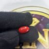 RED CORAL- MOONGA(ITALIAN) - 5.000 CT