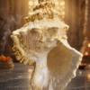 RARE JUMBO SIZE NATURAL AIRAVATA SHANKH - AUTHENTIC GAJ-DANT DECORATIVE CONCH SHELL FOR VASTU, PROSPERITY & SPIRITUAL WEALTH (LARGE, HEAVY DUTY)
