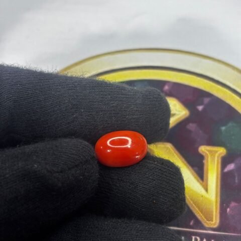 RED CORAL- MOONGA(JAPANESE) - 8000 CT
