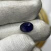 BLUE SAPPHIRE - NEELAM (BANGKOK) - 4.480 CT