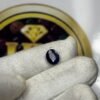 BLUE SAPPHIRE - NEELAM (BANGKOK) - 2.965 CT