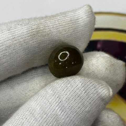 CAT'S EYE - LAHSUNIYA(SRI LANKA) - 18.195 CT