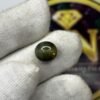 CAT'S EYE - LAHSUNIYA(AFRICAN) - 5.000 CT