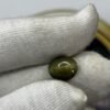 CAT'S EYE - LAHSUNIYA(AFRICAN) - 5.000 CT