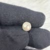 PEARL STONE - Moti(Australian South Sea) - 5.900 CT